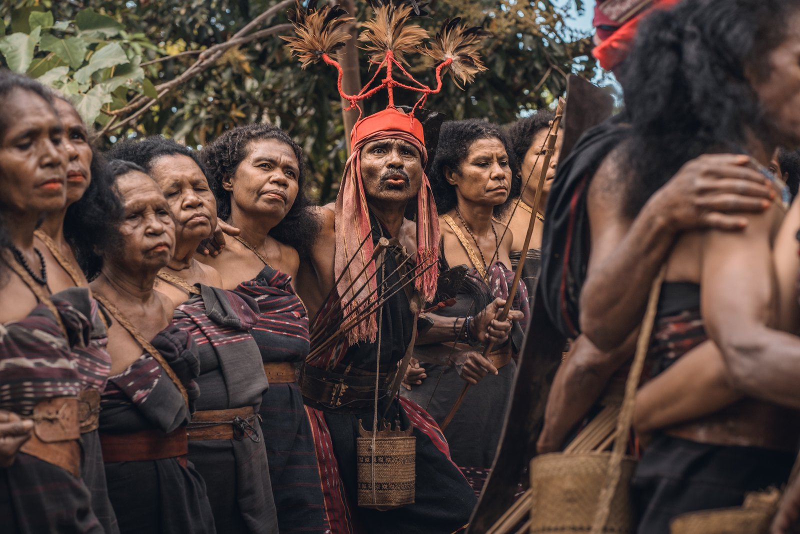 Gallery Header Background